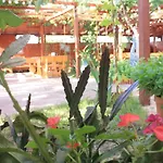 Отель Alba Family Club Приморско