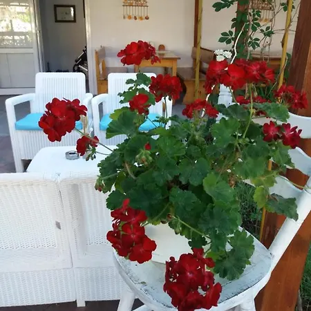 Alba Family Club Ξενοδοχείο