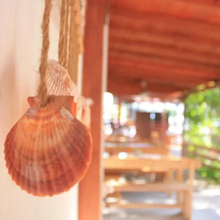 Alba Family Club Primorszko