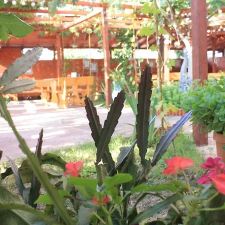 Hotel Alba Family Club Primorsko