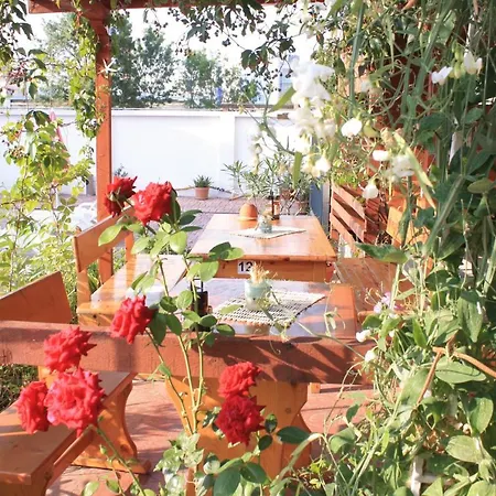 Alba Family Club 2* Primorsko