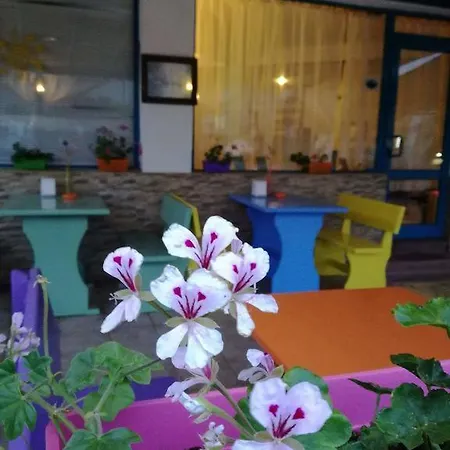 Alba Family Club ホテル