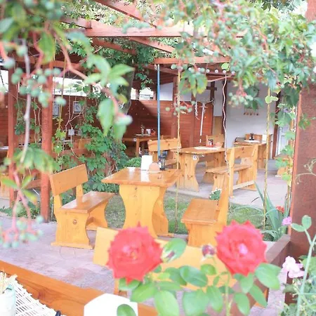 Alba Family Club Hotel