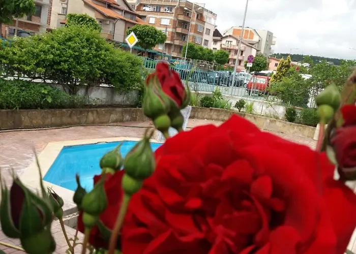 Alba Family Club Hotel Primorsko