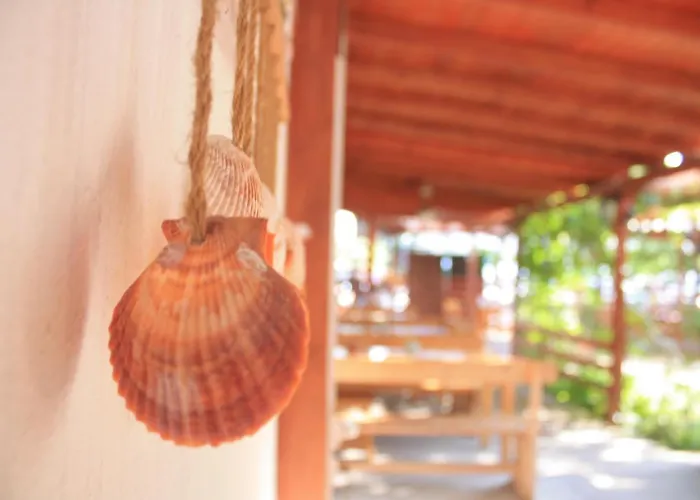 Alba Family Club Primorsko