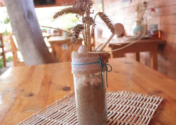 Alba Family Club Hotel