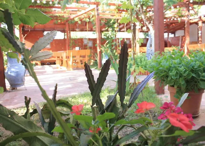 Hotel Alba Family Club Primorsko