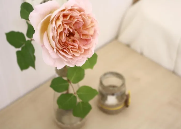 Alba Family Club Primorsko