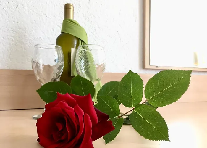 Alba Family Club Primorsko