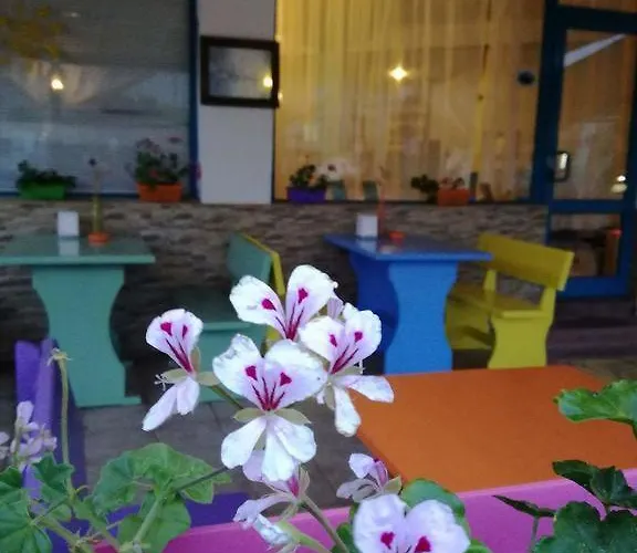 Alba Family Club Hotel