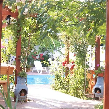 Alba Family Club Hotel